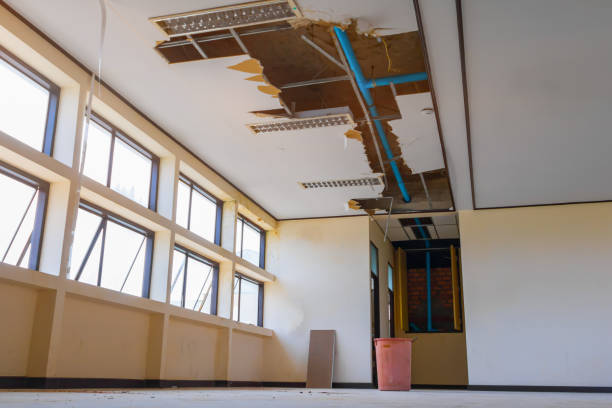 Best Fire Damage Restoration  in Valrico, FL