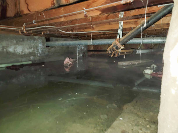 Best 24-hour water damage restoration  in Valrico, FL