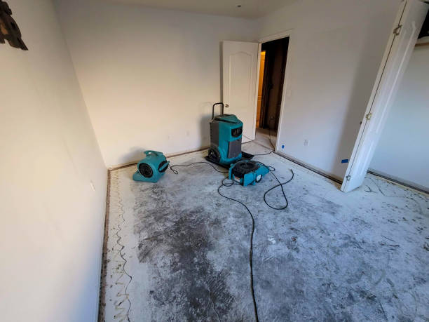 Best Flood restoration services  in Valrico, FL