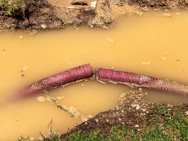 Best 24/7 water damage repair  in Valrico, FL