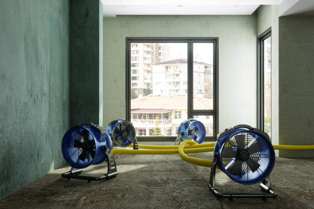 Best Professional water damage repair  in Valrico, FL